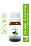 PROCLİS Çay Ağacı Yağ, %100 Doğal Uçucu Yağ, Tea Tree Oil 10 ml Sprey Başlıklı