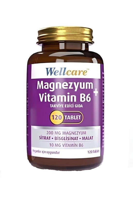 Wellcare Magnezyum + Vitamin B6 120 Tablet