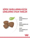 Royal Canin Mini Puppy 4 Kg Yavru Kuru Köpek Maması