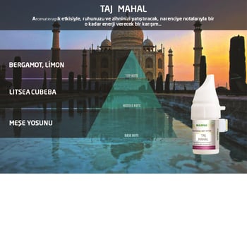 Rulopak 200522 122 Taj Mahal Koku Kartuşu 100 ML