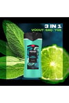Axe Premium Collection Aqua Bergamot 3 In 1 Vücut Saç Yüz Duş Jeli  300 ml