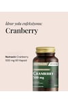 Nutraxin Cranberry 60 Tablet