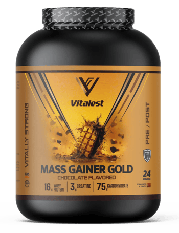 Vitalest Mass Gainer Çikolata Aromalı 2400G. Karbonhidrat Tozu 24 Servis