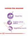 Royal Canin Sterilised Jelly Kısırlaştırılmış Yetişkin Kedi Yaş Maması 85 Gr x 12