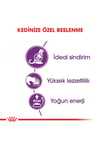 Royal Canin Sensible 33 15 Kg (Hassas Sindirim) Yetişkin Kuru Kedi Maması