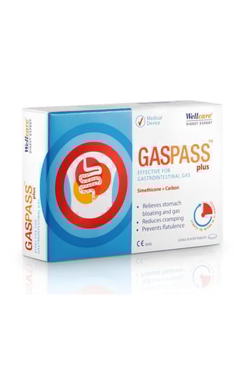 Wellcare Gaspass Plus 20 Tablet
