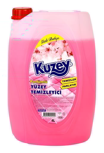 Kuzey Yüzey Temizleyici Yoğun Gizli Bahçe 4 lt