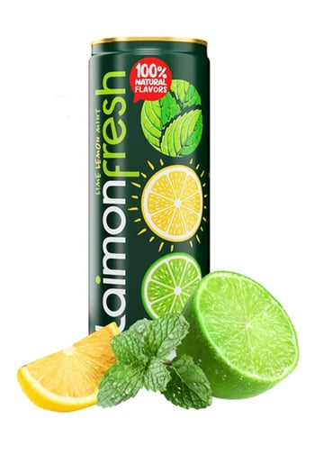 LAİMON FRESH NANE-LİMON 330 ML *24'LÜ