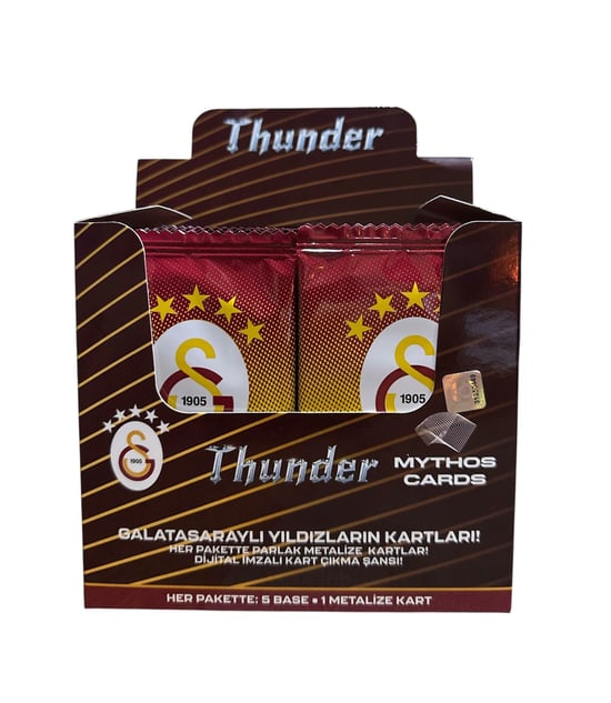 GALATASARAY SPOR LİSANSLI FUTBOLCU KARTLARI -24'LÜ PAKET