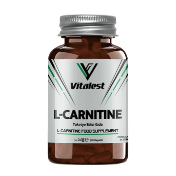 Vitalest L-Carnitine 60 Kapsül