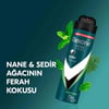rexona, erkek deodorant, rexona Mint Fresh, rexona invisible, toptan deodorant, toptan kozmetik, 150 ml deodorant