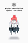 Everest Amber Type-C Bağlantılı RGB Ledli Mekanik Gaming Oyuncu Klavye Q Red Switch