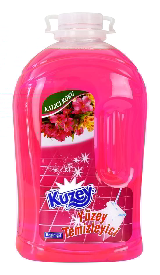 Kuzey Yüzey Temizleyici Yoğun Gizli Bahçe 4 lt