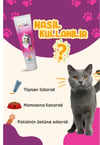 Petlook Yavru Kedi Kitten ve Anne Kedi Maltı Multivitamin 115 GR