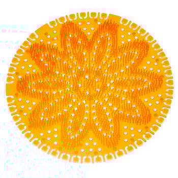 Rulopak Mini Koku Giderici Mango