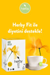 Herby Fit Tea Elma Sirkeli Ananaslı Diyete Destek Form Bitki Çayı