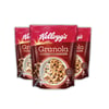 Kellogg's Çikolata Parçacıklı&Fındıklı Granola 340 Gr x3 Adet,%44