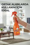 Fuji Amber Oda Spreyi Air Freshener Neon Ortam Kokusu 400 Ml