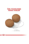 Royal Canin Maxi Adult 15 Kg Yetişkin Kuru Köpek Maması