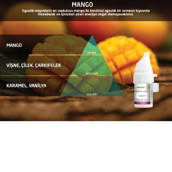 Rulopak 200567 160 Mango Koku Kartuşu