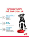 Royal Canin Maxi Puppy 15 Kg Yavru Kuru Köpek Maması