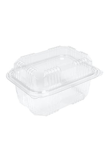 Sızdırmaz Kendinden Kapaklı Plastik Kap - Peynir Kabı 500 gr 100 Adet