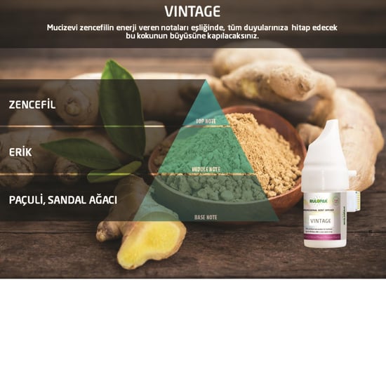 Rulopak Vintage Koku Kartuşu 100 ml (M5-M6)