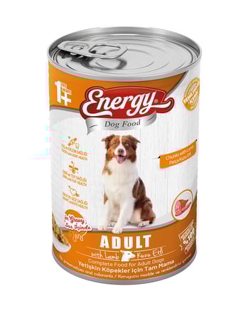 Energy Köpek Maması Islak 400 gr Kuzu Etli