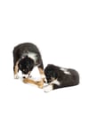 Eva & Walle Doğal Köpek Kemiği 2’li Set 13cm | Orta Ve Küçük Irklar Için Çiğneme & Diş Temizliği Kemiği (75-80G)