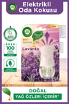 Air Wick Elektrikli Oda Kokusu Cihaz + Yedek Şişe Lavanta