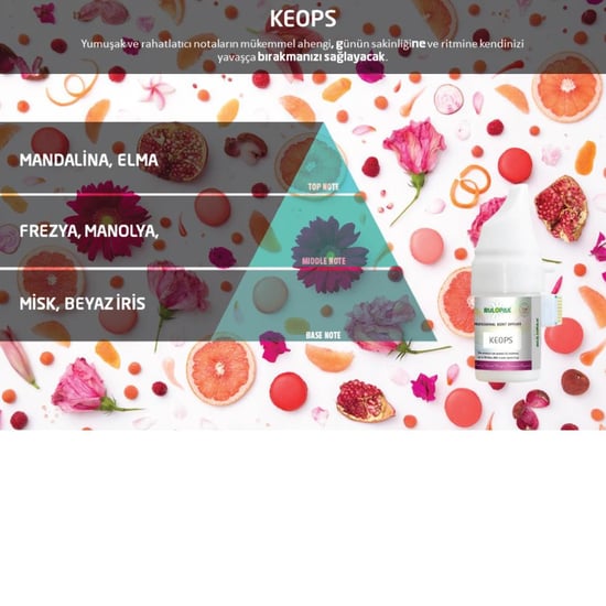 Rulopak Keops Koku Kartuşu 100 ml (M5-M6)