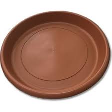 6 No Saksı Tabak-Yuvarlak Saksı Tabağı