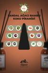 Ilgaz Sandal Ağacı Bambu Çubuklu Oda Kokusu 110 ml | Red Diffuser Sandal Wood Ortam Kokusu