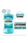 Listerine Cool Mint Ağız Bakım Suyu 1Litre