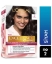 loreal,saç boyası,kadın saç boyası,siyah saç boyası,toptan loreal,toptan loreal fiyatları,toptan loreal satın al,toptan saç boyası satın al