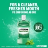 listerine, listerine ağız suyu, ağız bakım suyu, ağız temizleme suyu, gargara, naneli ağız bakım suyu, listerine fresh burst 250 ml ağız bakım suyu satın al, listerine fresh burst 250 ml ağız bakım suyu fiyat