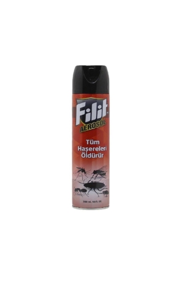 Filit Aerosol Hamamböceği Ve Karasineklere Karşı Etkili Çözüm Böcek Kovucu  300