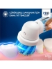 Oral-B D103 Vitality Pro Frozen Kutulu Şarjlı Diş Fırçası