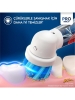 Oral-B D103 VİT Pro Spidermen Kutulu Şarjlı Çocuk Diş Fırçası