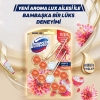 Domestos Tuvalet Bloğu Tuvalet Koku Giderici Aroma Lux Yıldız Çiçeği & Ejder Meyvesi 100 gr