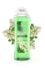 Dermokil MAXROSA  Morınga Duş Jeli 750 Ml