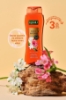 Komili Rich Aroma Peace&Calm Duş Jeli - Amber&Beyaz Yasemin - Kalıcı Parfüm - 500 Ml