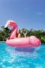 Intex Flamingo Binici - Tutmaçlı Ada 178x35 cm