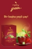 Diyete Destek Paketi (Ice Tea Berry Hibiskus 12'li Şeker İlavesiz Soğuk Çay + Yeşil Çay Çilek ve Lime)