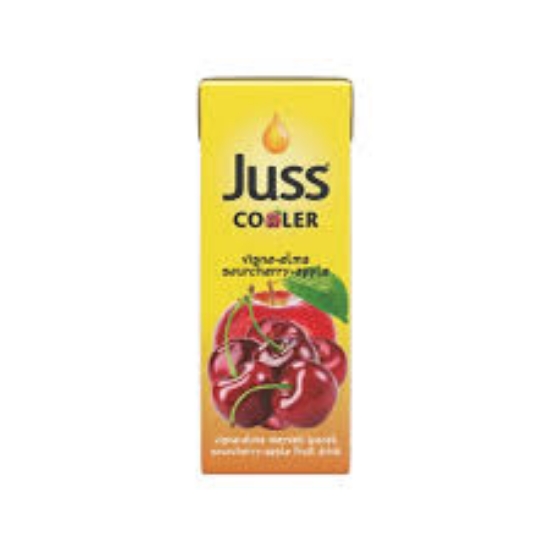 Juss Meyve Nektarı 200 ml Vişne Elma
