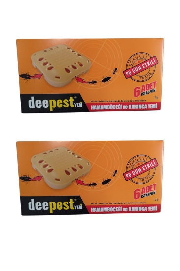 DEEPEST 6.LI HAMAMBÖCEĞİ İSTASYONU