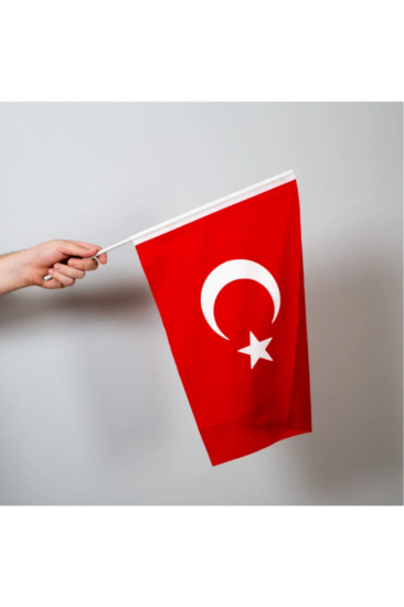 Türk Bayrağı Bez 20X30 Plastik Sopalı 10' Lu