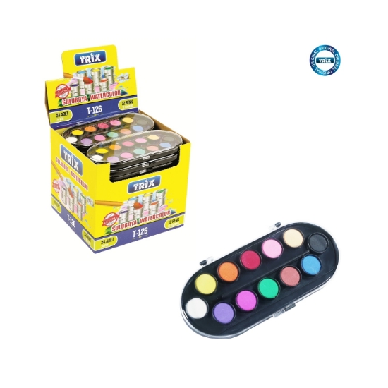 Trix 12'li Sulu Boya Kutusuz