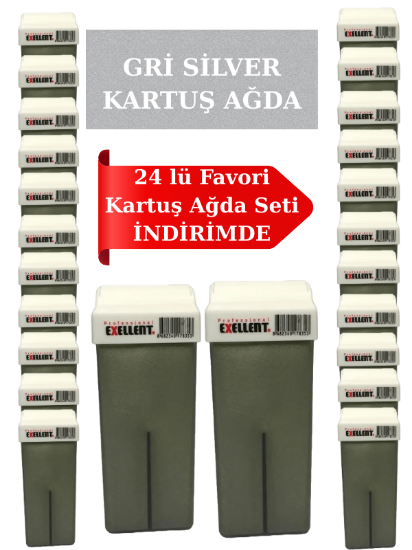 Exellent Gri Silver Kartuş Ağda 24 lü