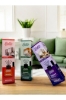 Sasta Bambu Koku Home Series Standı 100 ml 288 Adet